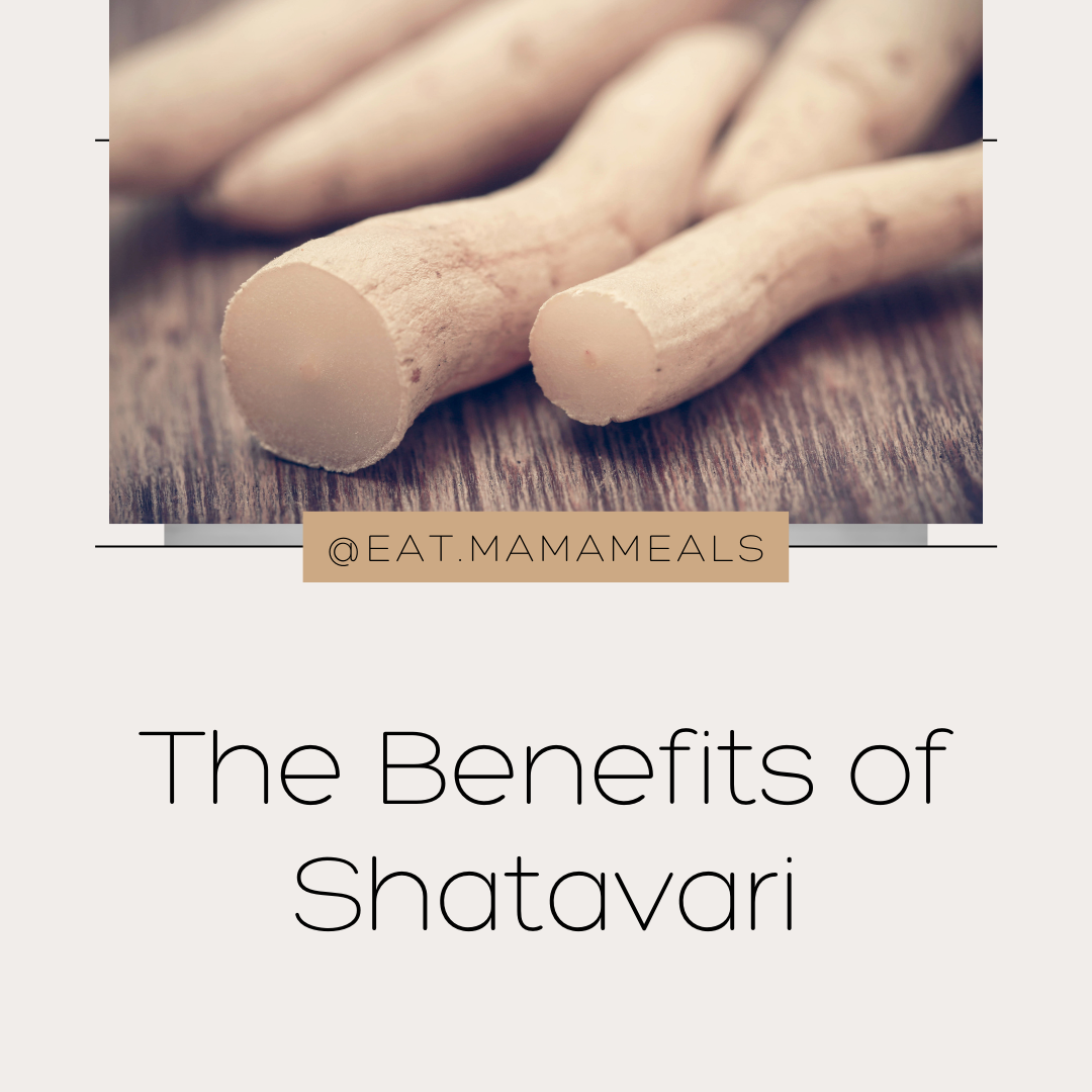 The Benefits of Shatavari