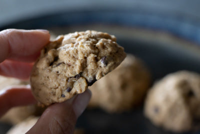 Oatmeal Chocolate Chip Lactation Cookies (12ct)